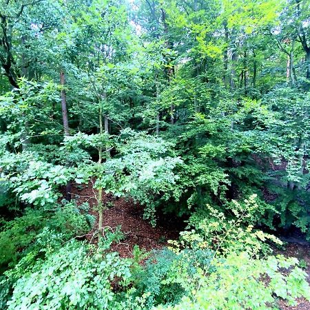 Forest - 23 Marca Sopot By Grand Apartments Ngoại thất bức ảnh