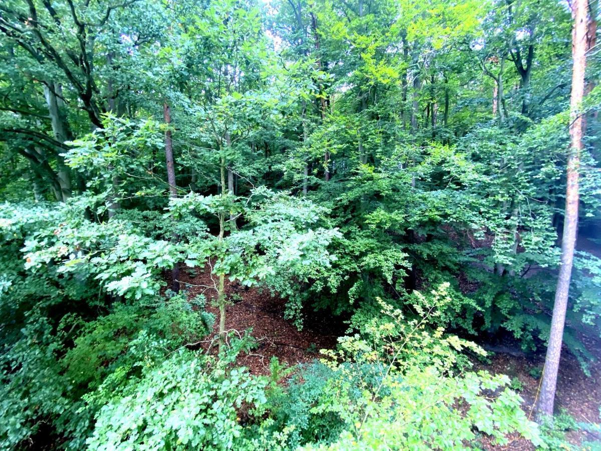 Forest - 23 Marca Sopot By Grand Apartments Ngoại thất bức ảnh
